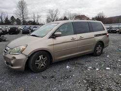 Salvage cars for sale at Grantville, PA auction: 2005 Honda Odyssey EXL