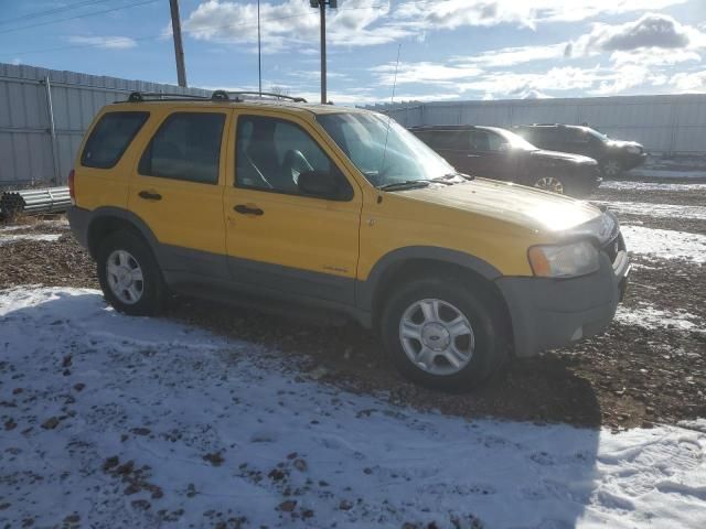 2001 Ford Escape XLT