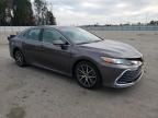 2024 Toyota Camry XLE