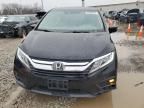 2019 Honda Odyssey EXL