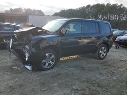 2014 Honda Pilot EXL en venta en Seaford, DE