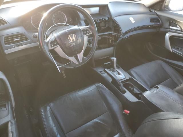 2009 Honda Accord EXL