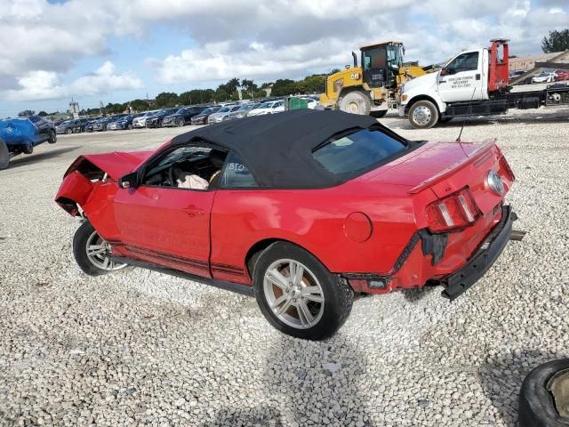 2010 Ford Mustang