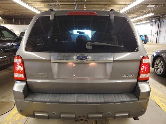 2009 Ford Escape Limited