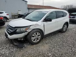 Salvage cars for sale at Columbus, OH auction: 2013 Honda CR-V EX