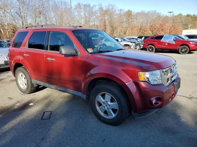 2012 Ford Escape XLT