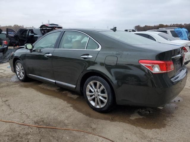 2011 Lexus ES 350