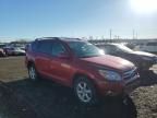 2008 Toyota Rav4 Limited