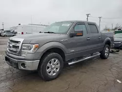 Ford salvage cars for sale: 2014 Ford F150 Supercrew