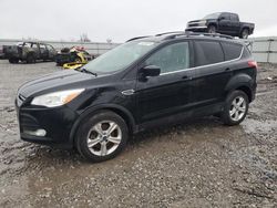 Salvage cars for sale at Earlington, KY auction: 2013 Ford Escape SE