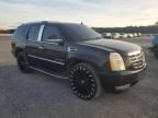 2007 Cadillac Escalade Luxury