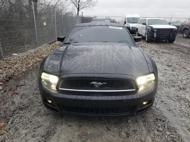 2014 Ford Mustang