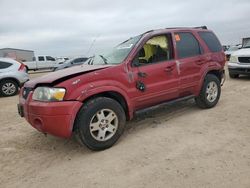 Ford Escape salvage cars for sale: 2006 Ford Escape Limited