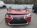 2020 Lexus ES 350 Luxury