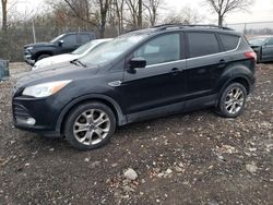 Salvage cars for sale from Copart Cicero, IN: 2013 Ford Escape SE