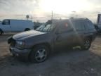 2008 Chevrolet Trailblazer LS