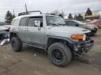 2010 Toyota FJ Cruiser