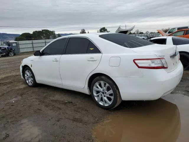 2011 Toyota Camry Hybrid