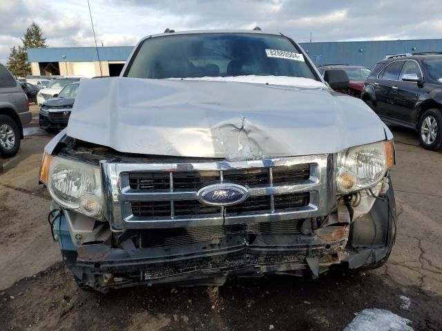 2008 Ford Escape XLT