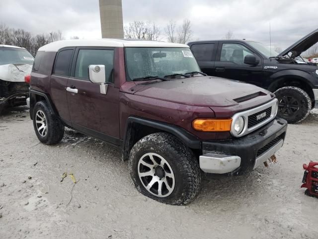 2007 Toyota FJ Cruiser