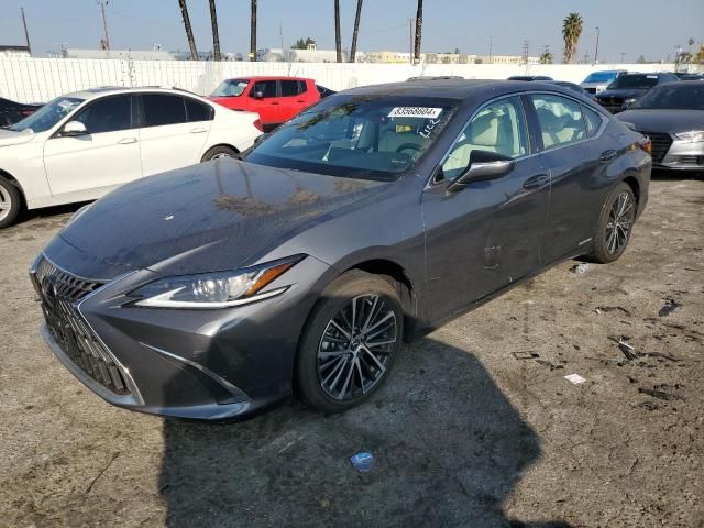 2022 Lexus ES 300H Base