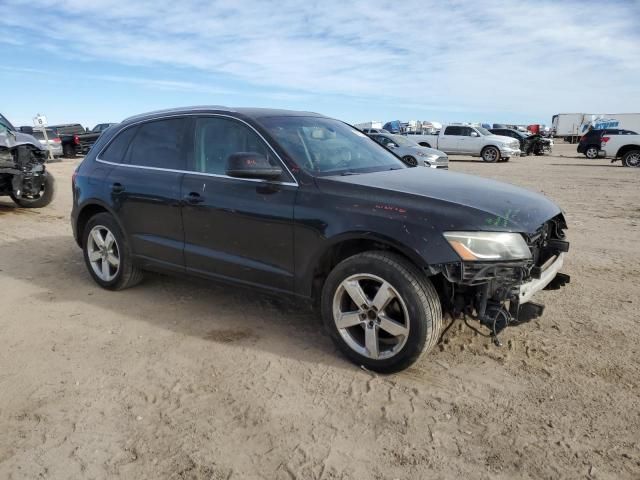 2010 Audi Q5 Premium Plus