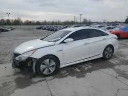 Salvage cars for sale at Indianapolis, IN auction: 2013 Hyundai Sonata Hybrid