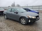 2008 Honda Accord LXP