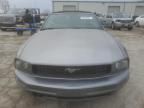 2006 Ford Mustang