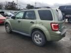 2008 Ford Escape XLT