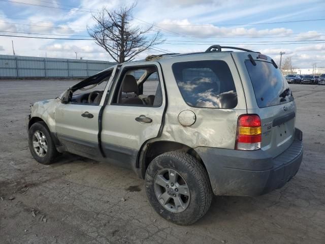 2005 Ford Escape XLT