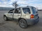 2005 Ford Escape XLT