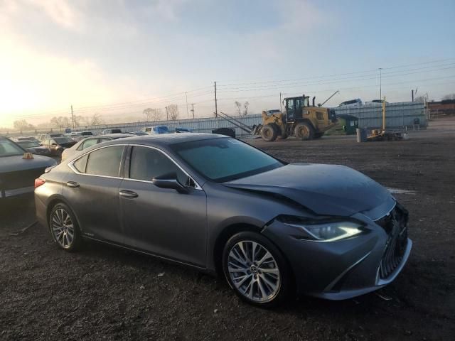 2020 Lexus ES 300H