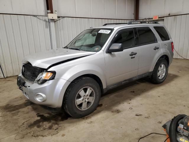 2010 Ford Escape XLT