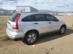 2010 Honda CR-V LX