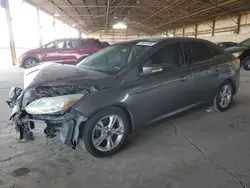 Ford salvage cars for sale: 2014 Ford Focus SE