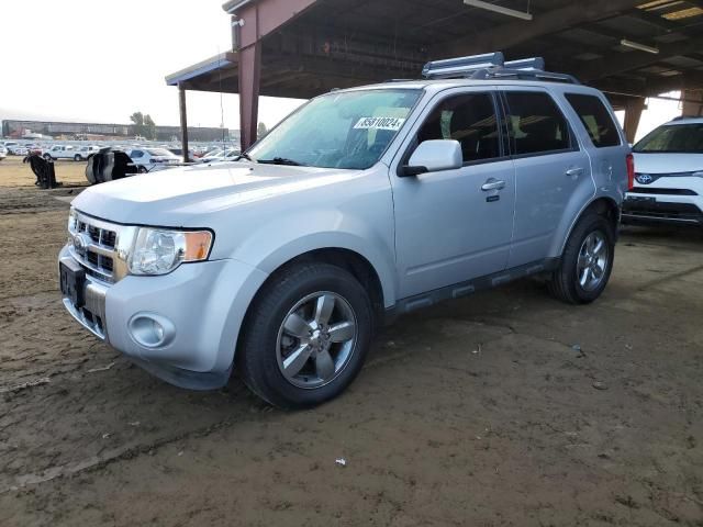 2011 Ford Escape Limited