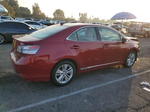 2010 Lexus HS 250H