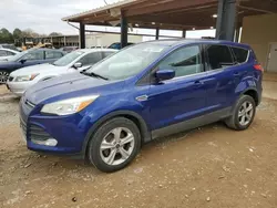 Ford Escape Vehiculos salvage en venta: 2014 Ford Escape SE