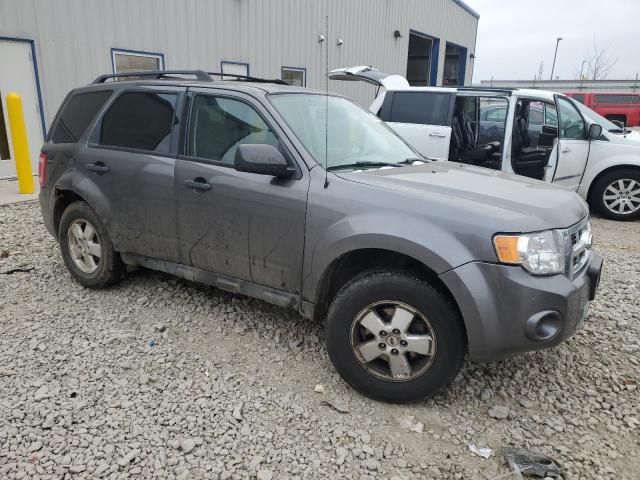 2011 Ford Escape XLS