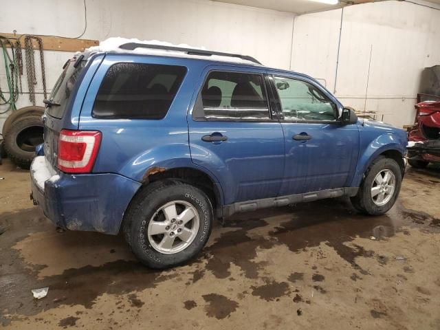 2010 Ford Escape XLT