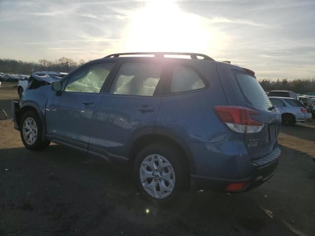 2024 Subaru Forester