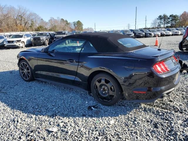 2019 Ford Mustang