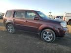 2014 Honda Pilot EXL