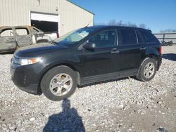 Salvage cars for sale at Lawrenceburg, KY auction: 2014 Ford Edge SE