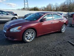 2010 Nissan Maxima S en venta en Windsor, NJ