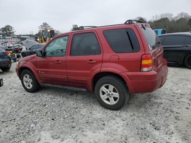 2006 Ford Escape HEV