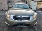 2008 Honda Accord LXP