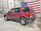 2005 Ford Escape XLS