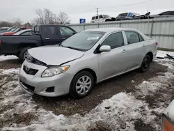 2010 Toyota Corolla Base en venta en Chicago Heights, IL